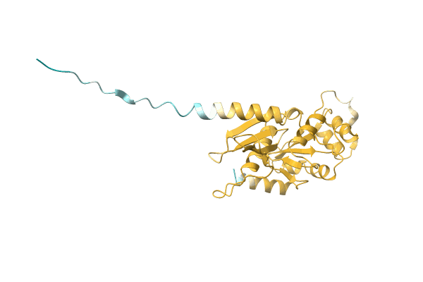 AF-A0A4S5JLJ5-F1 image