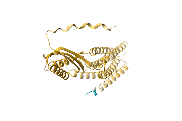 AF-A0A4U3M282-F1 image