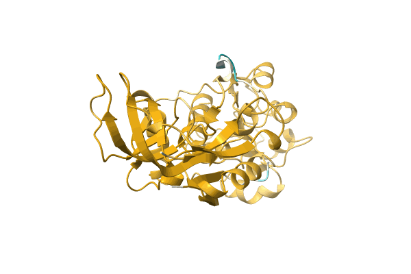 AF-A0A4U3M536-F1 image