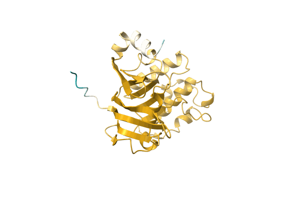 AF-A0A4U6C3M3-F1 image