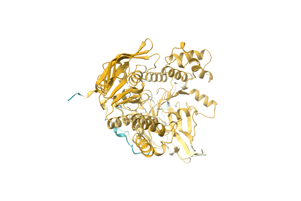 AF-A0A4U6C3T6-F1 image