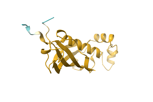 AF-A0A4U6C3U3-F1 image