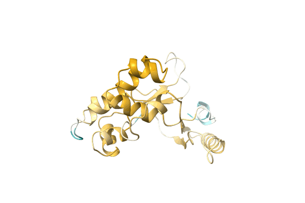 AF-A0A4U8VEN1-F1 image