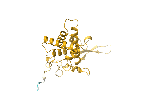 AF-A0A4U8VK62-F1 image