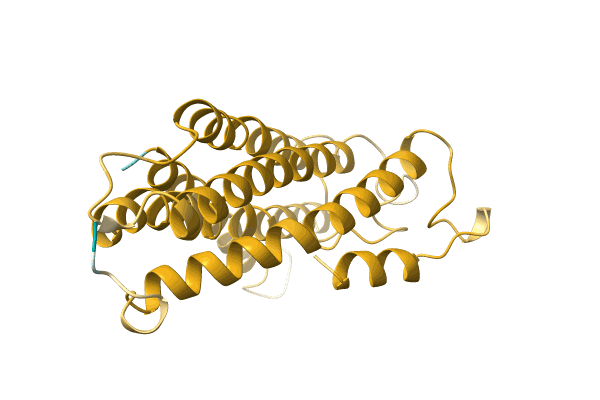 AF-A0A4V1F1K1-F1 image