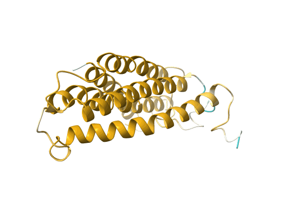 AF-A0A4V1F1M2-F1 image