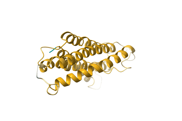 AF-A0A4Y1LT75-F1 image