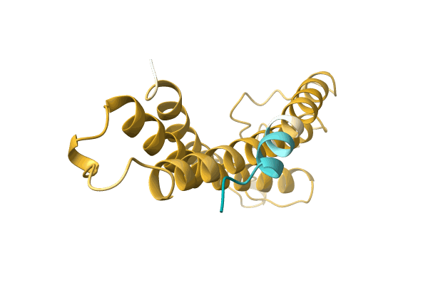 AF-A0A4Y5MVP8-F1 image