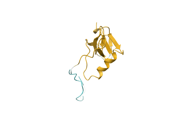 AF-A0A4Y5X1A7-F1 image