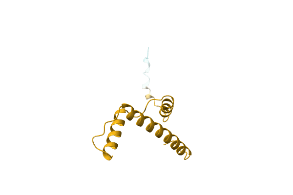 AF-A0A515MAI8-F1 image