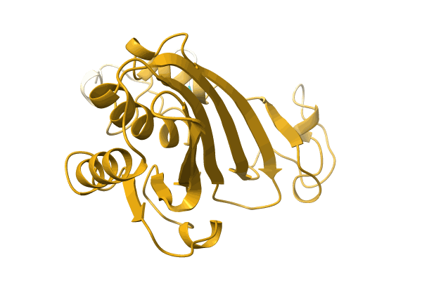 AF-A0A515MCY9-F1 image