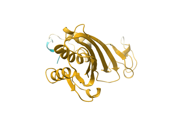 AF-A0A515MCZ7-F1 image