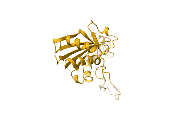 AF-A0A515MD40-F1 image