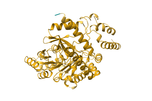 AF-A0A516RMK1-F1 image