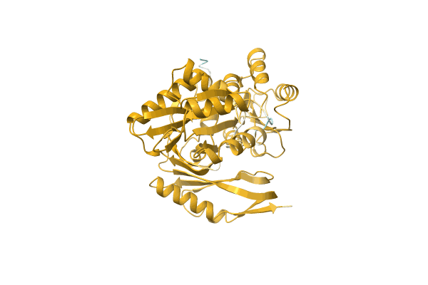 AF-A0A5B2ZDM3-F1 image