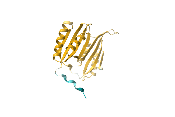 AF-A0A5B2ZEU2-F1 image