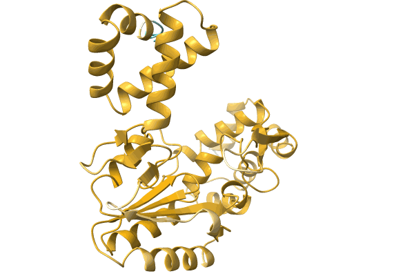 AF-A0A5B7XBB0-F1 image