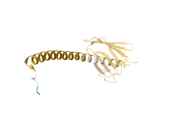 AF-A0A5B7XDF4-F1 image