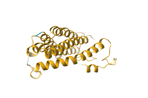 AF-A0A5B8GIN1-F1 image