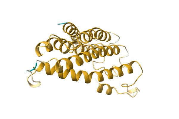 AF-A0A5B8H4U0-F1 image