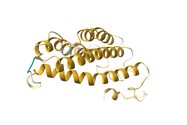 AF-A0A5B9Y234-F1 image