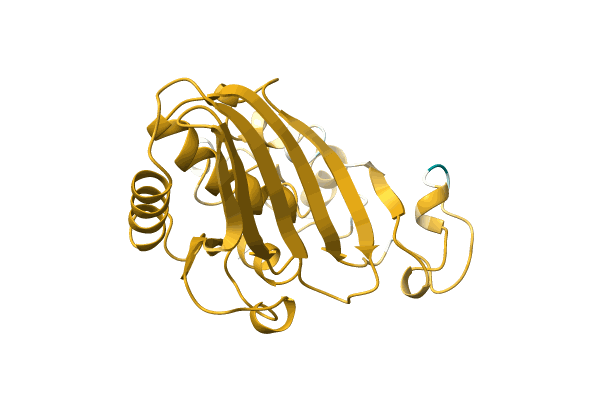 AF-A0A5C0B4X2-F1 image