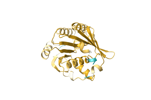 AF-A0A5C0SQ84-F1 image