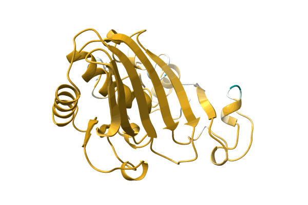 AF-A0A5C2GZM4-F1 image