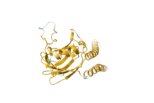 AF-A0A5C2H2C9-F1 image