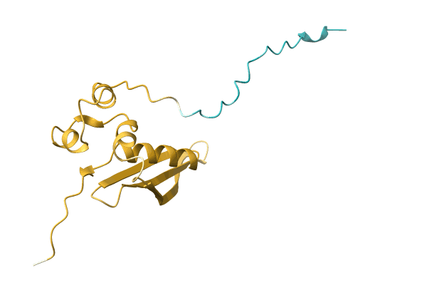 AF-A0A5C2H2E0-F1 image