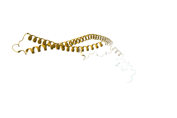 AF-A0A5C2H375-F1 image