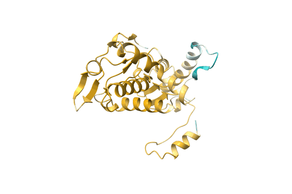 AF-A0A5C2H545-F1 image