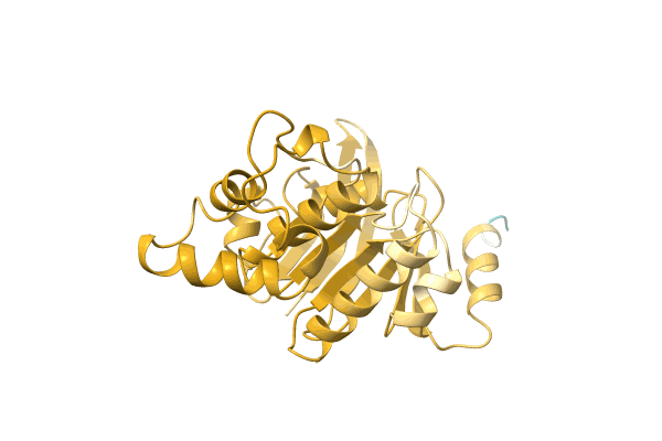 AF-A0A5C4LS38-F1 image