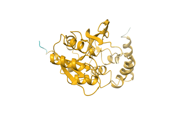 AF-A0A5D4NF98-F1 image