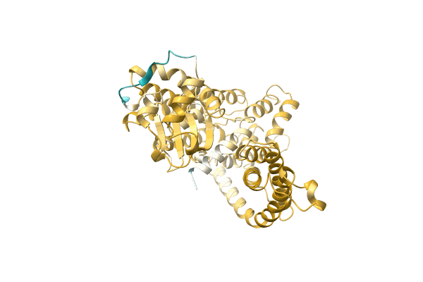 AF-A0A5D4NG98-F1 image