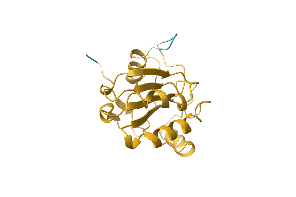 AF-A0A5D4NGF2-F1 image