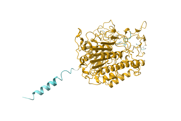 AF-A0A5D8YFF2-F1 image