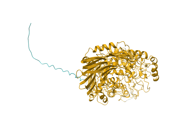 AF-A0A5D8YGU8-F1 image