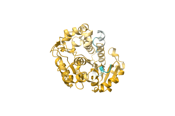 AF-A0A5D9AQF3-F1 image