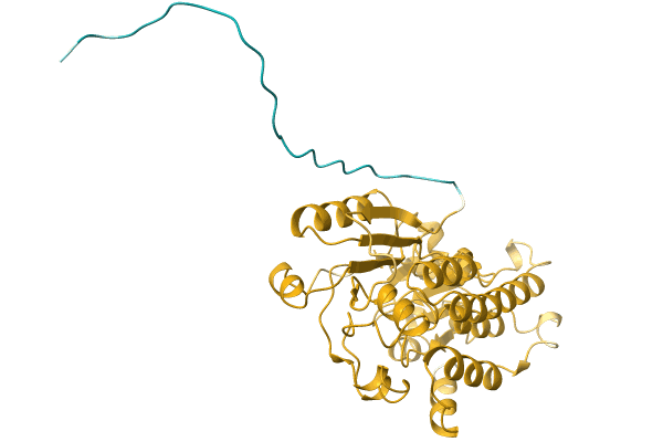 AF-A0A5D9AZV4-F1 image