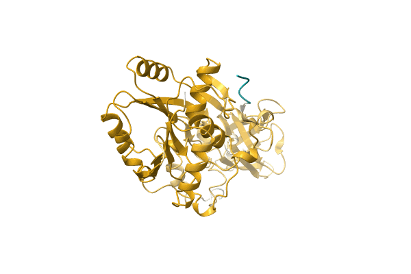 AF-A0A5D9B0E4-F1 image