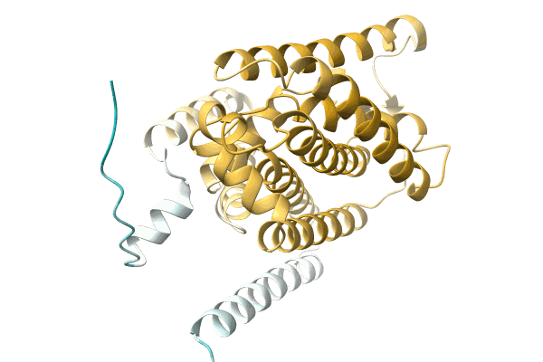 AF-A0A5D9B0G4-F1 image