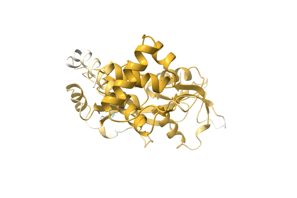 AF-A0A5D9D5J8-F1 image