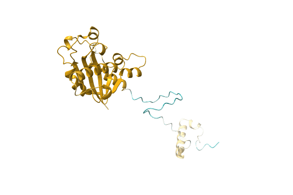 AF-A0A5D9D5Q4-F1 image