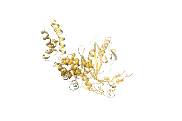 AF-A0A5D9D5Y8-F1 image