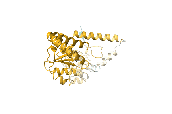 AF-A0A5D9D647-F1 image