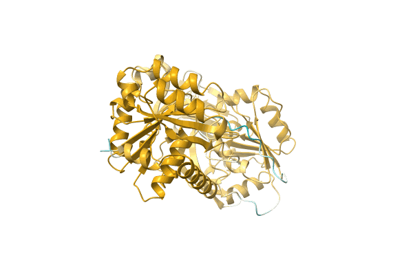 AF-A0A5D9D657-F1 image