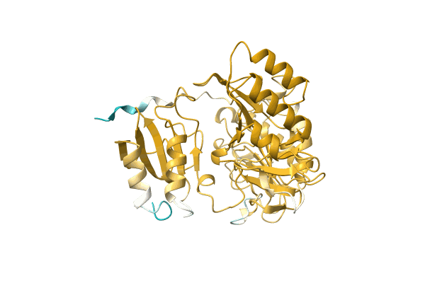 AF-A0A5D9D665-F1 image