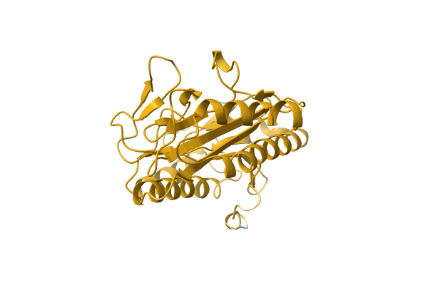 AF-A0A5D9D6G8-F1 image