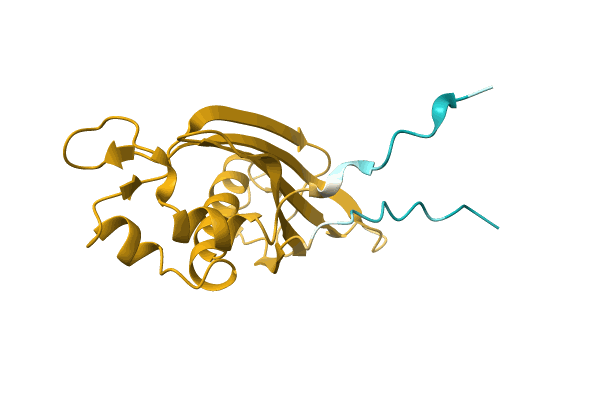 AF-A0A5E5P7J6-F1 image